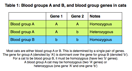 Blood Groups & Blood Incompatibility | International Cat Care