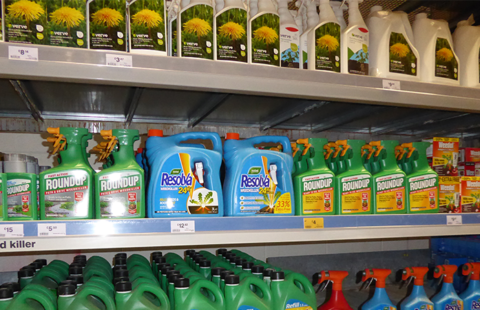 Weed killers: what are the dangers?
