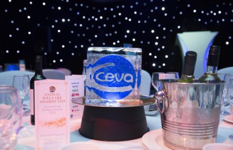 Nominations open for Ceva Animal Welfare Awards 2019