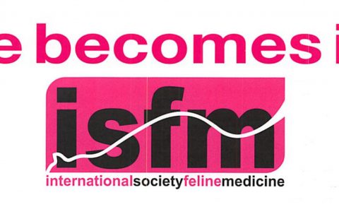 A decade since ESFM became ISFM