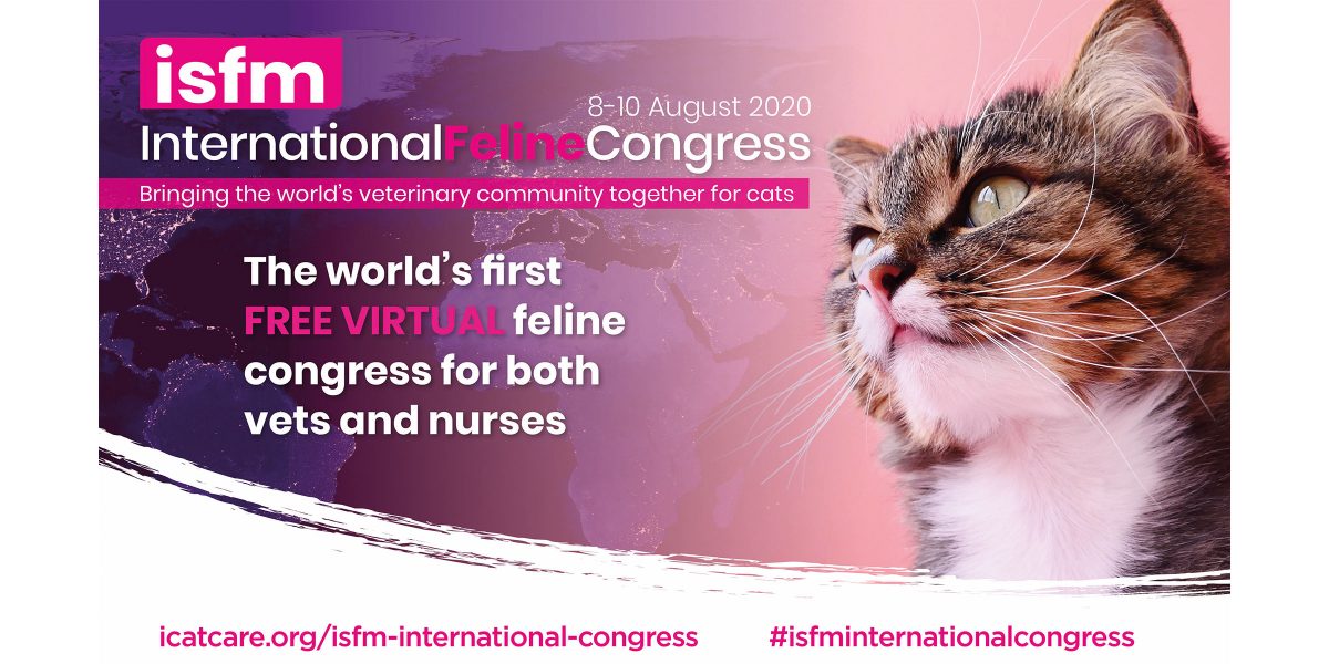 ISFM International Feline Congress: An innovation in CPD