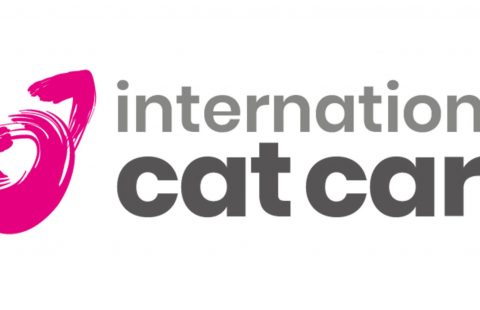 Steve Crow wins International Cat Care Outstanding Contribution to Animal Welfare Award