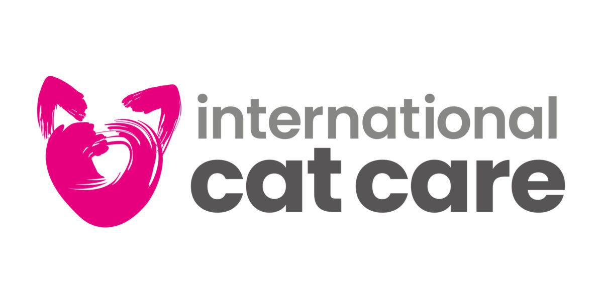 BVNA and International Cat Care announce exciting new collaboration to benefit veterinary nurses and cats