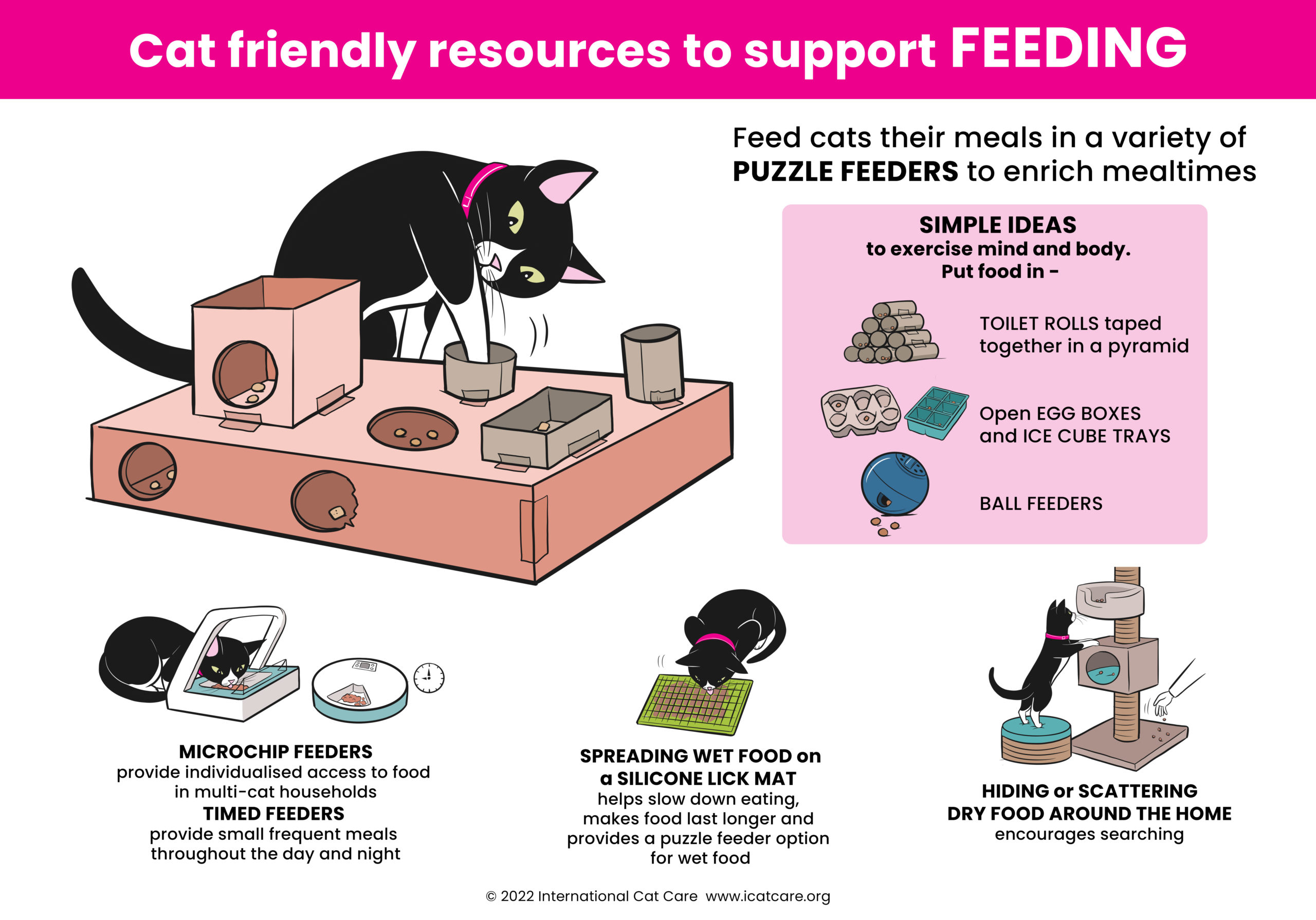 Food Puzzles for Cats - One Stop Resource! - Pet Nurture