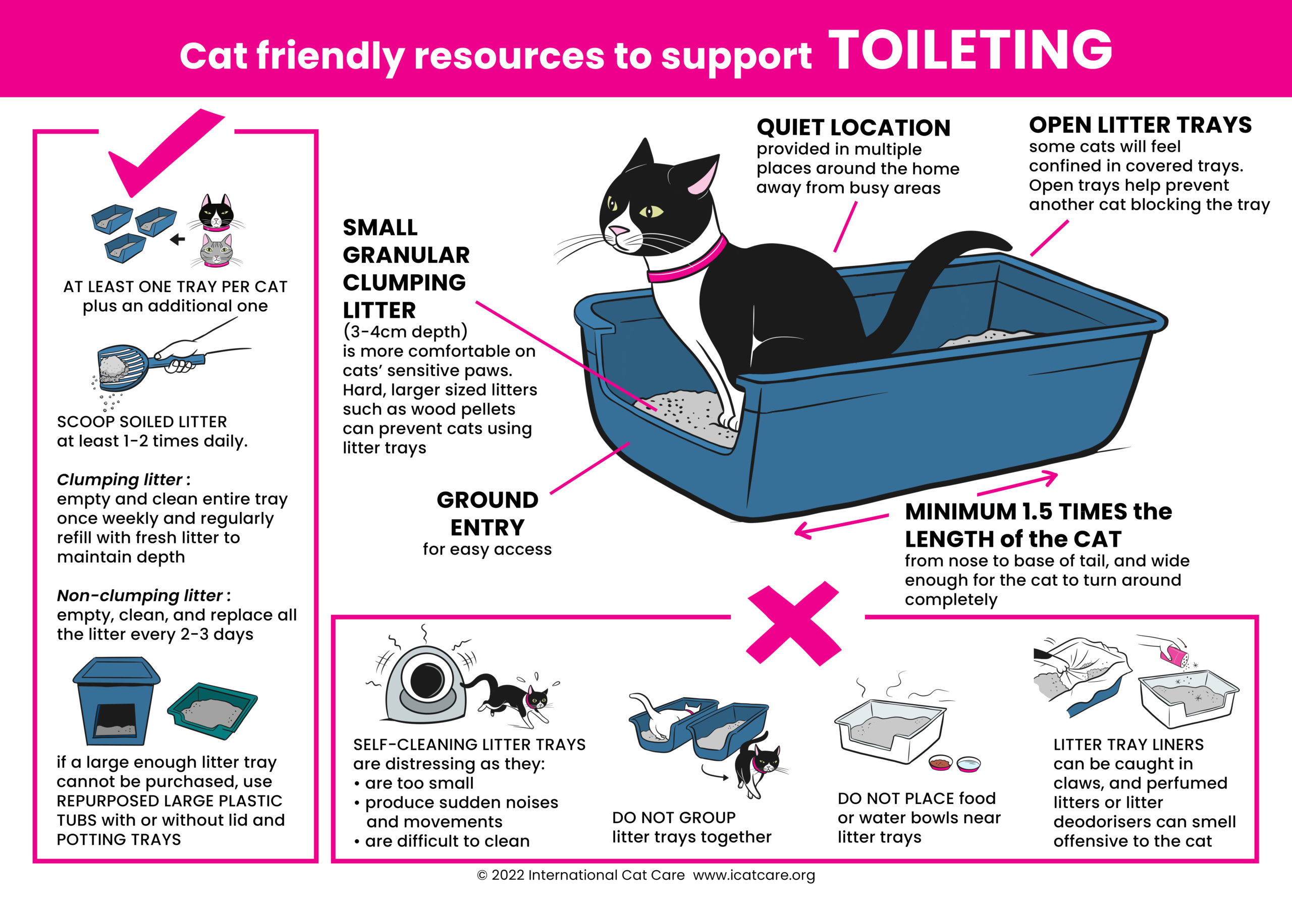 Rules of the Box: 7 Ways to Keep Your Cat Inside the Litter Box - Animal  Clinic of CB