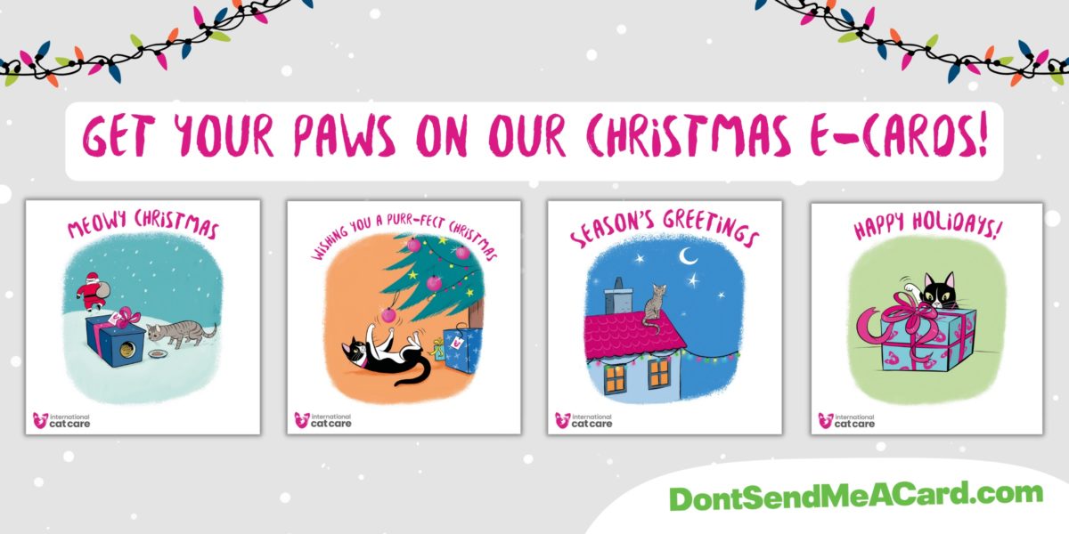 iCatCare charity e-cards now available for Christmas!