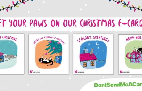 iCatCare charity e-cards now available for Christmas!