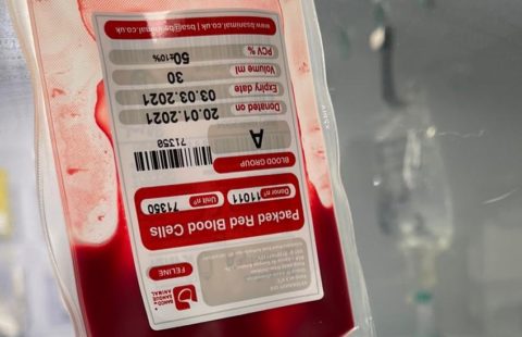 Blood and blood product collection and transfusion in cats