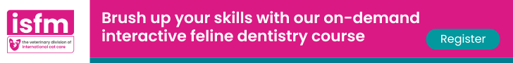 Feline Dentistry Ad Banner