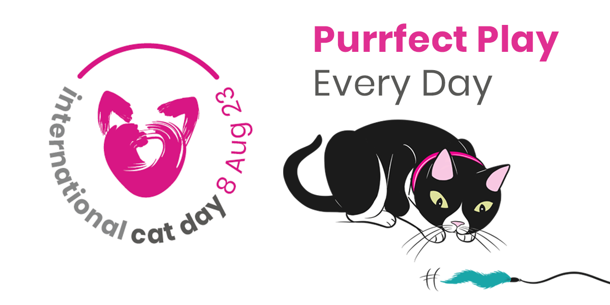 iCatCare launches social media campaign to encourage ‘Purrfect Play Every Day’ for International Cat Day 2023  