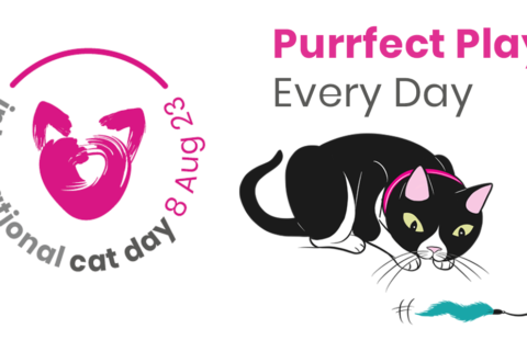 iCatCare launches social media campaign to encourage ‘Purrfect Play Every Day’ for International Cat Day 2023  