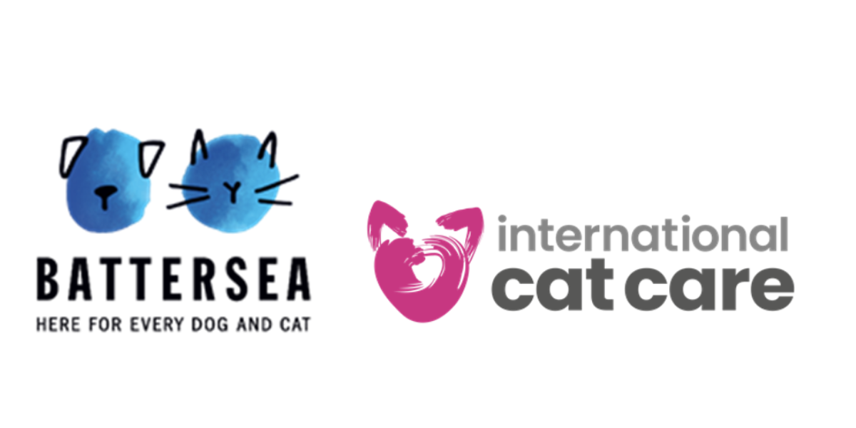 Animal Welfare Charities Collaborate to Drive Long-lasting Change to International Feline Welfare and Rehoming Sector